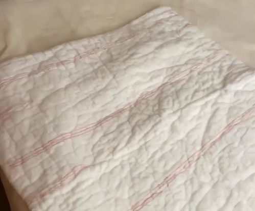 福建一女子攢五只貓兩年掉的毛,混合棉花做成被子,網友 有心了